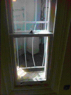 clip_image004