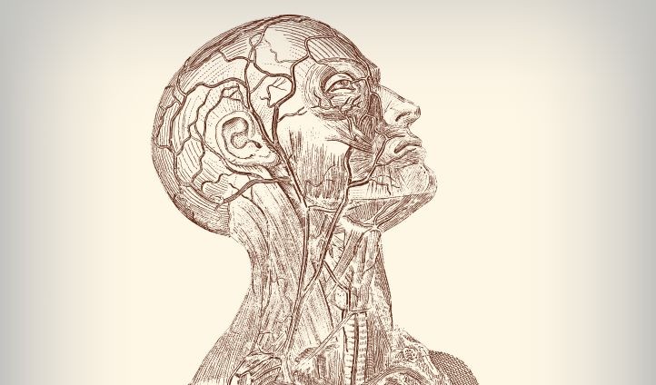 cover cover