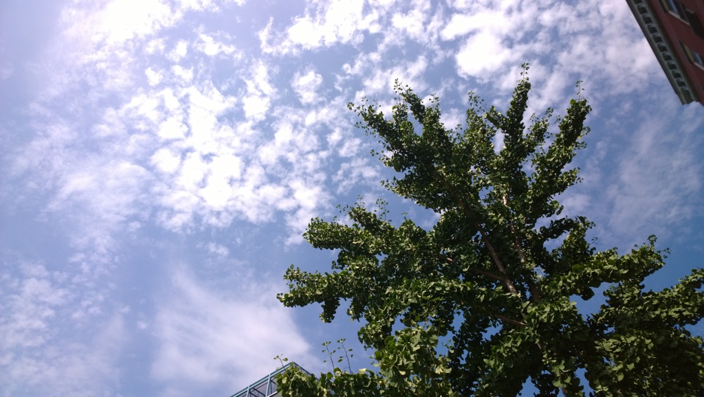 Windows_Phone_20130721_11_11_12_Pro__highres-hero