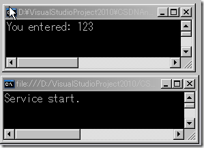 SelfHostConsole_runtime SelfHostConsole_runtime