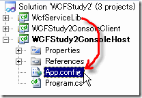 SelfHostConsole_appconfig SelfHostConsole_appconfig