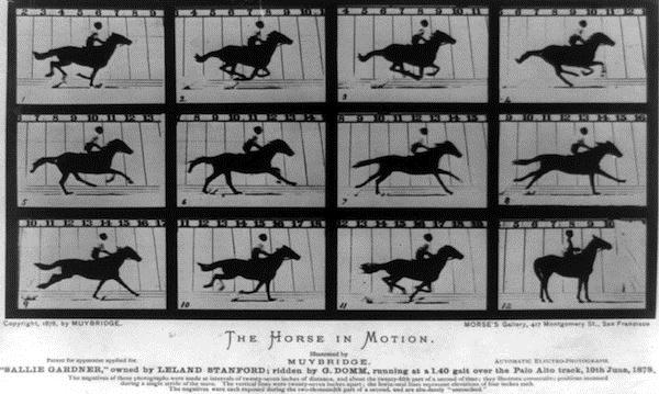 muybridge