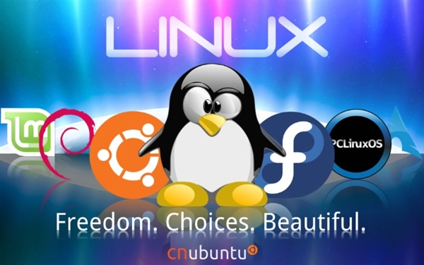Ϊʲô벻 Linux