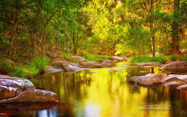 ΢ Windows ⣺Queensland ⡷