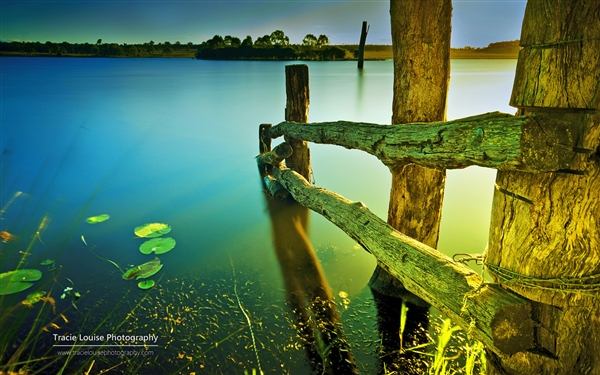 ΢ Windows ⣺Queensland ⡷