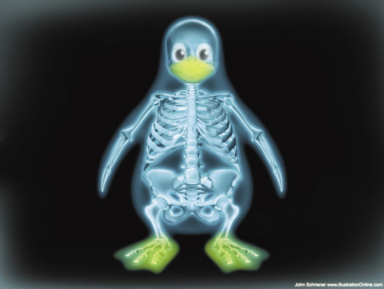 xray-linux