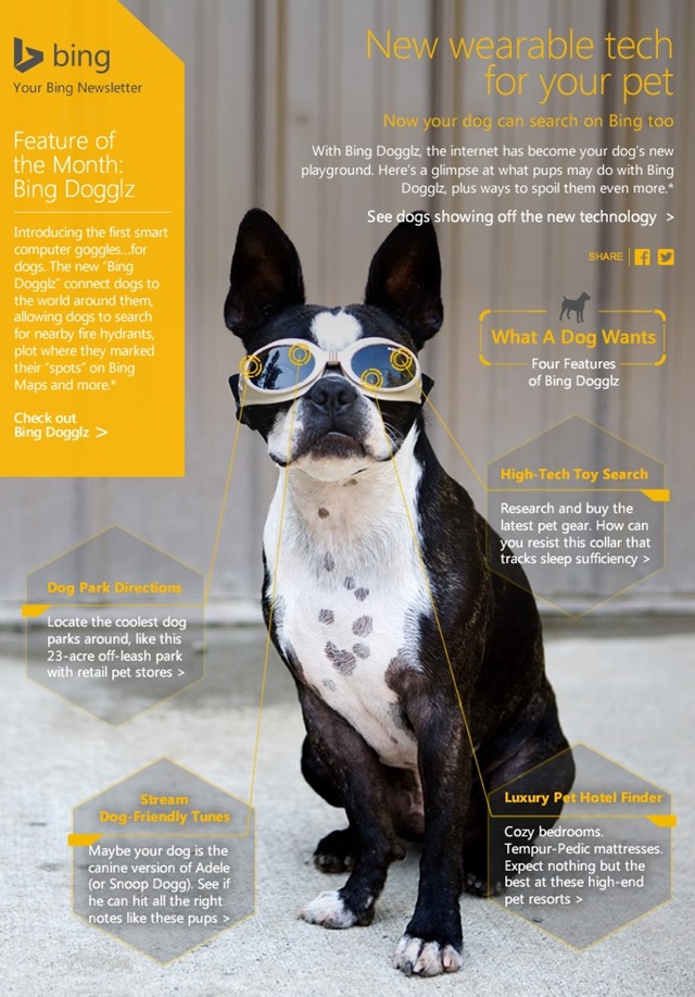 必应Bing 愚人节产品:宠物眼镜和翻译器