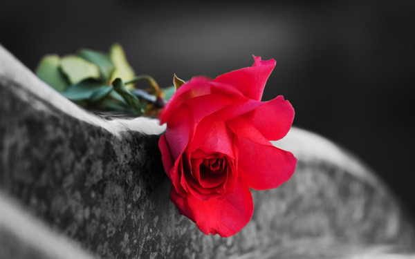 rose_grabstein