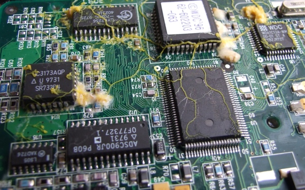 slime-mold-board-3