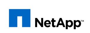 netapp.jpg