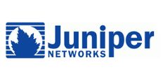 juniper.jpg