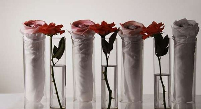 http://since1984.qiniudn.com/wp-content/uploads/2014/05/208355_5_600.jpg
