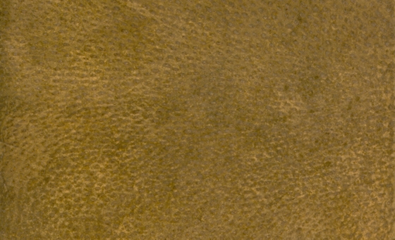 ָΣͼ֤ʵһƤ