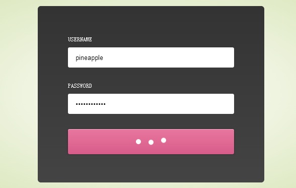 css3-auto-login-form-animation