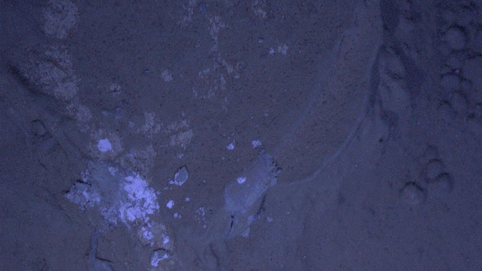 Mars-Night-1-13