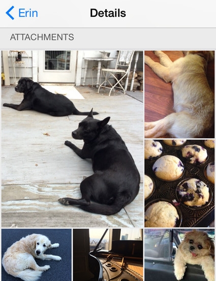 iOS 8 ʮع㶼֪