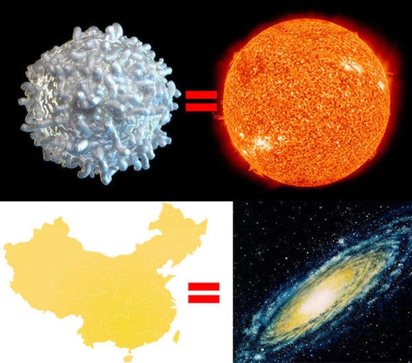 26 ͼ㣺Ϊʲô˵ϵۺΰ