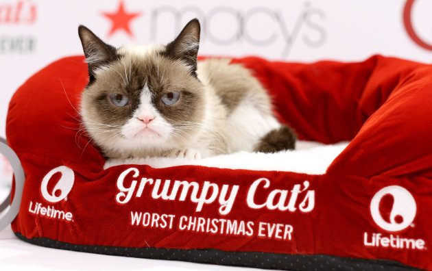 Lifetime's Grumpy Cat's Worst Christmas Ever