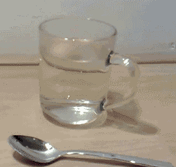 galium spoon small.gif