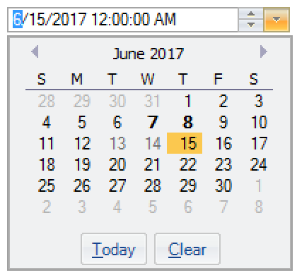 ComponentOne DateEditor