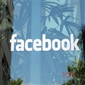 Facebook崻 ݿ⼯Ⱥ