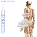 GoogleWebGLչʾBody Browser ̽