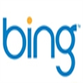 ΢2011Bing