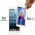  iPad mini ռ iPad ܳһ