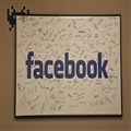 Facebook 2013 Q2ԽԽƶ