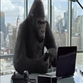 ƳԴرʼǱ Gorilla Glass NBT ǿ