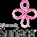 ӵ΢Surface