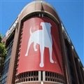 Zynga 2013 Q3 ƱӪ»խ COO 