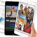 ƻٷ¿iPad mini