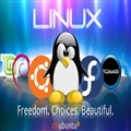 Ϊʲô벻Linux