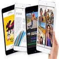 ĵ ԼiPad mini 2