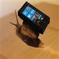 ̫΢ÿWindows Phone