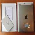 iPad Air/mini 2Ϊβƽƶ4G