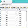 Ext.Netѧϰʼǡ05Ext.Net GridPanel÷FilterSorterGrouping(Summary)÷