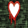 г30̨û޸ Heartbleed ©