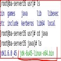 Linuxjdk1.6װ