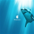 Windows ҲԼҵġݮɡȡ Shark Cove