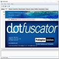 .NET (Dotfuscator Professional Edition)