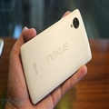 Google Nexus 5Ѿֹͣδٲ