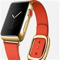 ƽApple WatchһСʱ