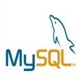 MySQLӦѧϰ6