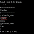 MySQL ݿ