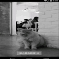 1--ԶVideoViewʵֻӭҳ