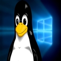 ¹ĽʽͣLinuxԴƻ4ڲWin10