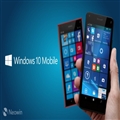 ΢ֹ֧ͣWindows 10 Mobile Version 1511