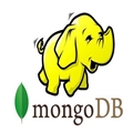 MongoDB򵥵Ž̳֮ ʹJavaMongoDB